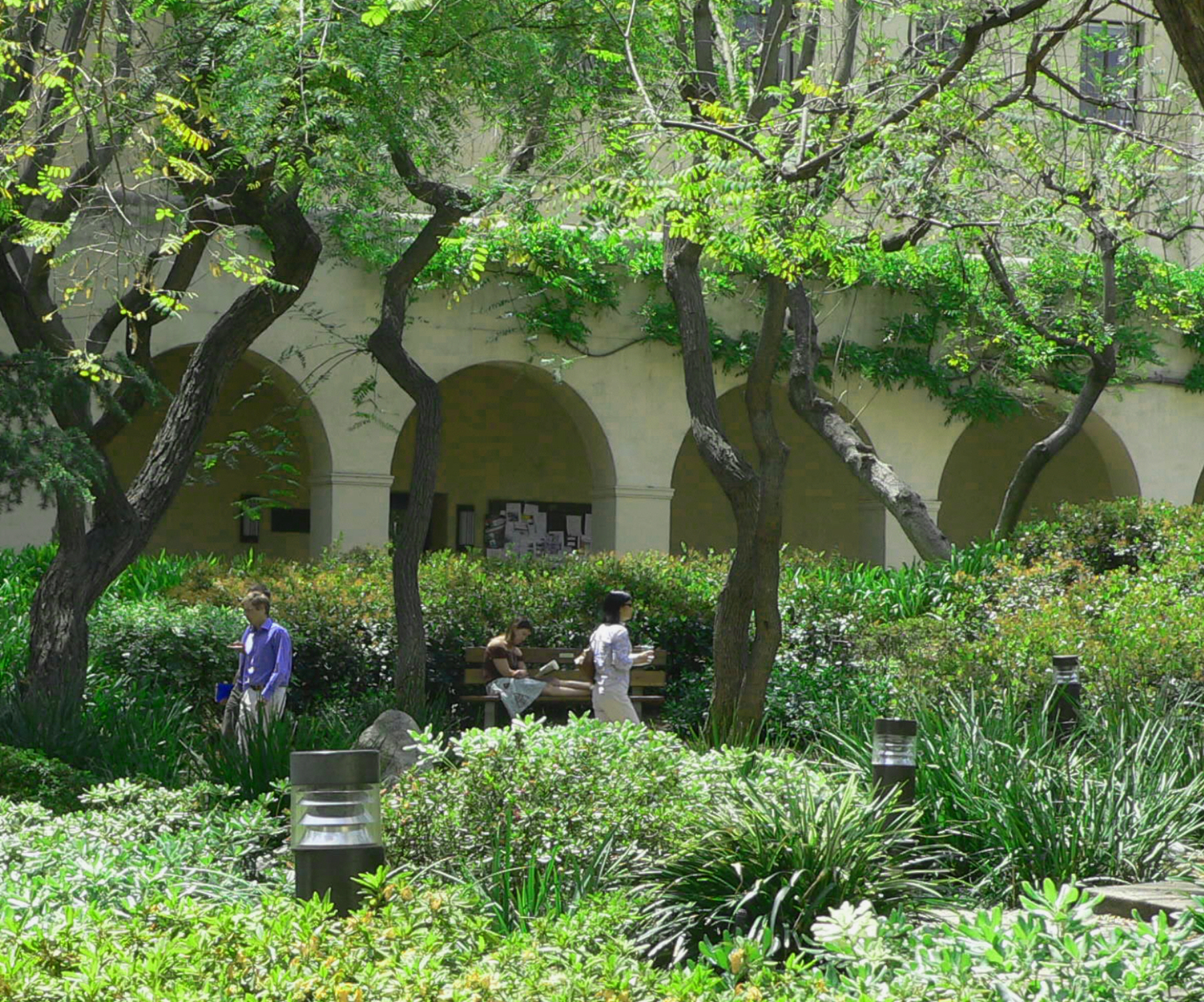 Caltech gardens photo