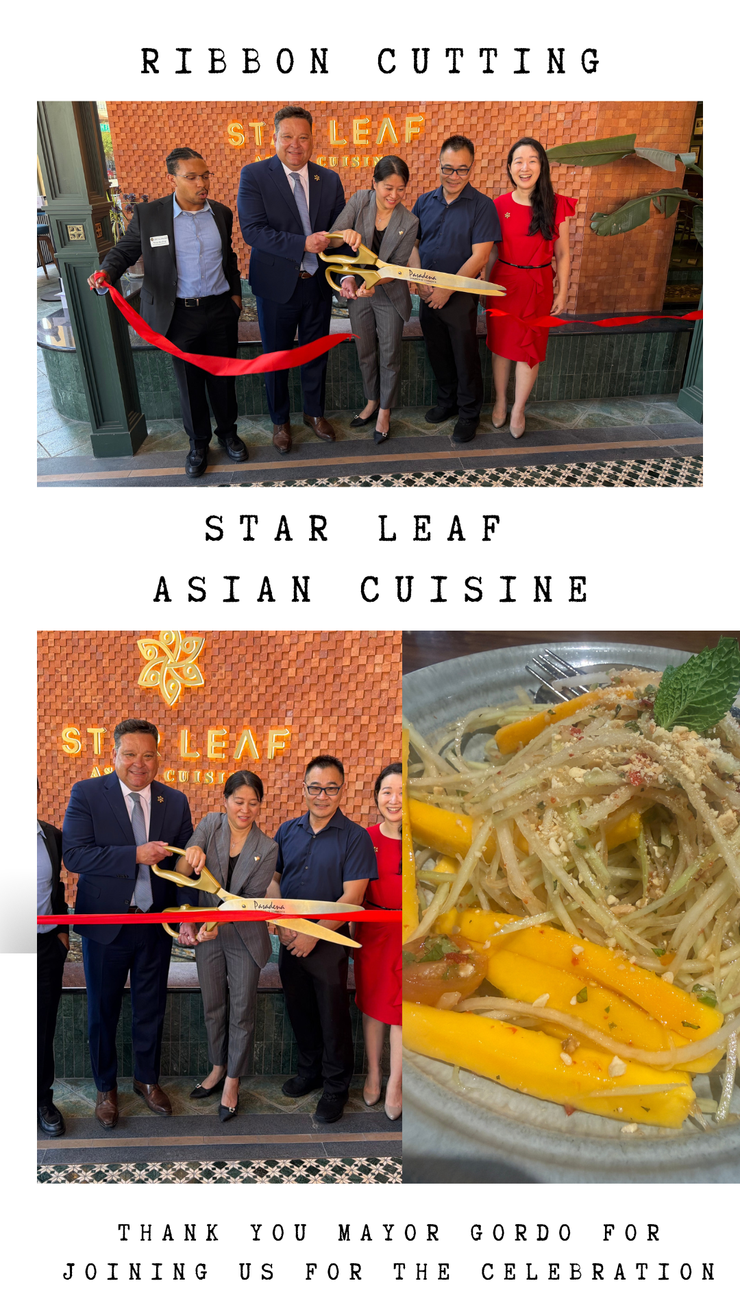 Star Leaf ribbon Cutting photo collage