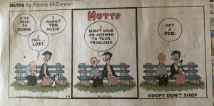 Mutts cartoon