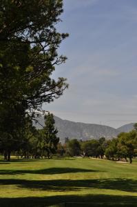 It was a beautiful day at Brookside Golf Club for the 2017 Chamber Tournament. Brookside Golf Club